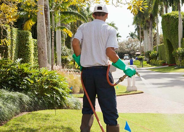 About Black Eagle MT Pest Control